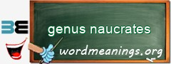 WordMeaning blackboard for genus naucrates